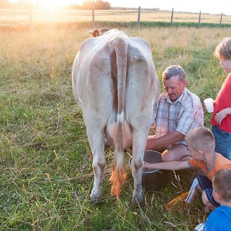 Agroturystyka Lolkowo Srokowo Eksteriør billede