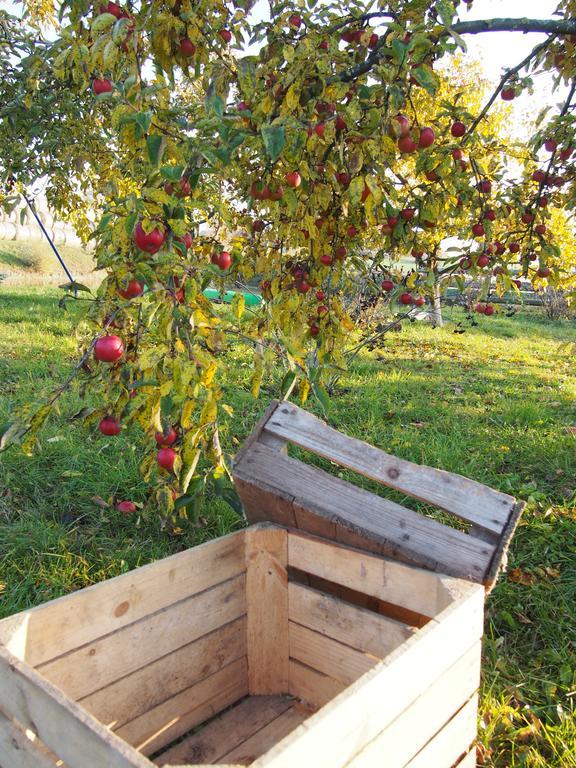 Agroturystyka Lolkowo Srokowo Eksteriør billede